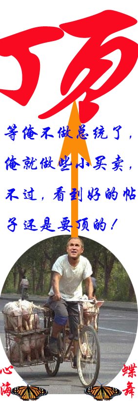 ding.jpg