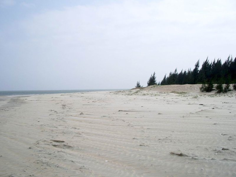 IMGP0022.JPG