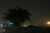 DSC00481.jpg