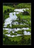 DSC01862.jpg