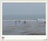DSC01276.jpg