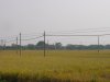 DSC00500.JPG