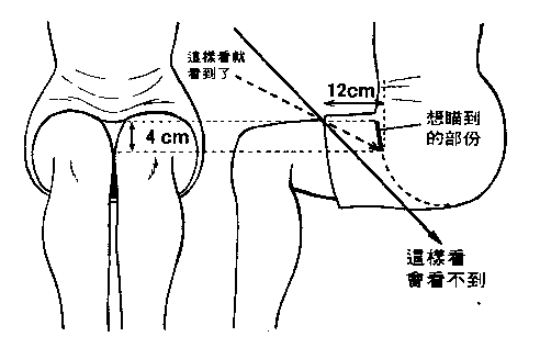 1.gif