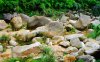 DSC03917.jpg