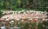DSC00522.jpg
