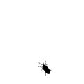 post-54006-1232196538.gif