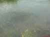 DSC06368.JPG