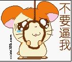 {EC735761-CEC5-11D9-A3B9-00E04C3C8D17}0.jpg