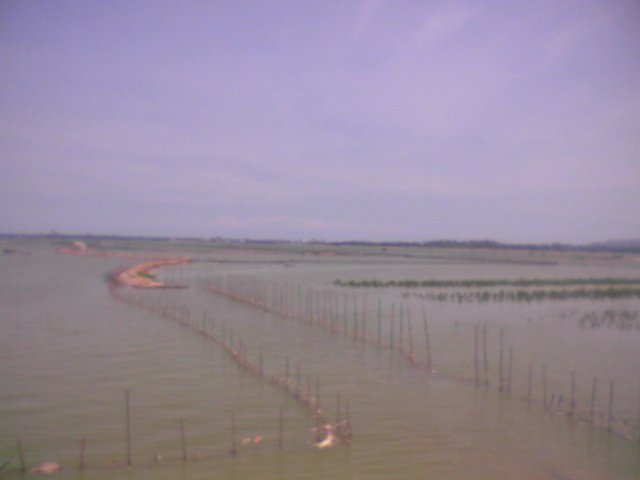 P06-11-05_13.41.jpg
