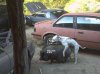 0027572v2tagjoj2ttxtko.jpg