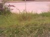 IMG_20121107_163623.jpg