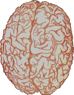 200553142057798.gif