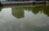 IMG_20160812_105233.jpg