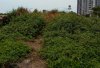 IMG_20160904_185352.jpg