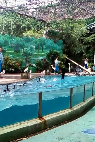 IMG_20170527_110719.jpg