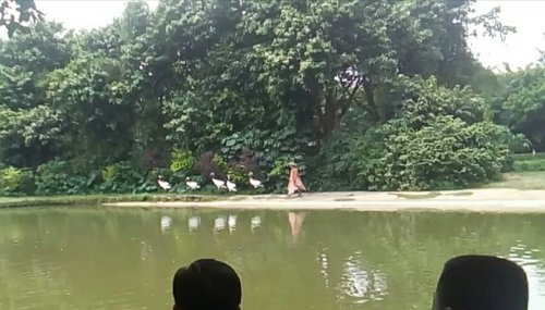 IMG_20170527_105916.jpg