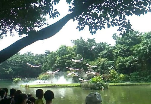 IMG_20170527_105826.jpg