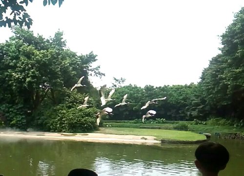 IMG_20170527_105852.jpg