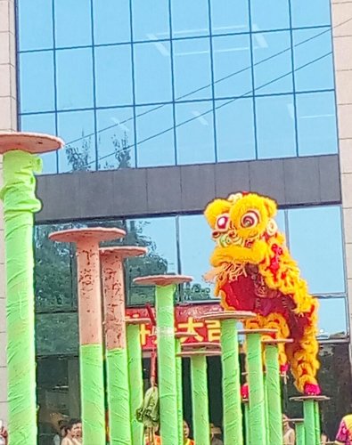 IMG_20170528_102858.jpg