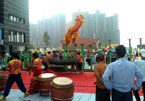 IMG_20170528_110114.jpg