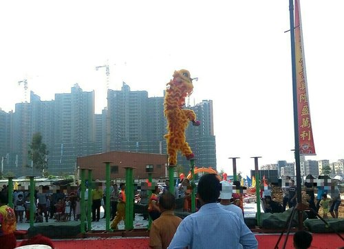 IMG_20170528_110336.jpg