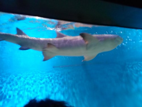 IMG_20160821_135900.jpg