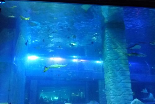 IMG_20170531_234845.jpg