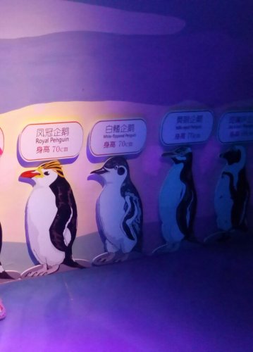 IMG_20170531_234831.jpg