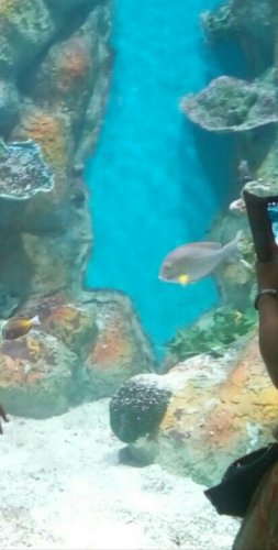 IMG_20170531_235910.jpg