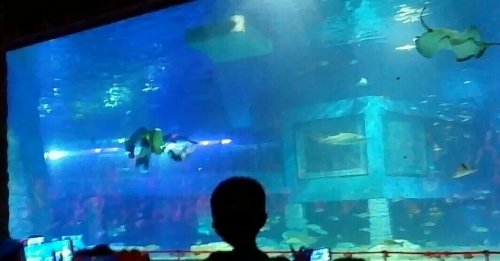 IMG_20170531_235443.jpg