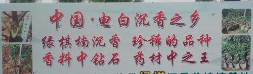 IMG_20170904_140050.jpg
