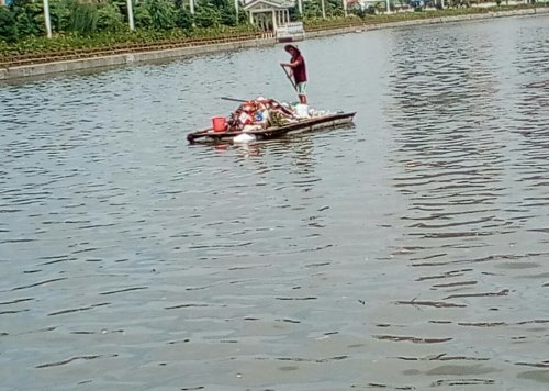 IMG_20170914_120949.jpg