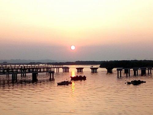 IMG_20170917_074934.jpg