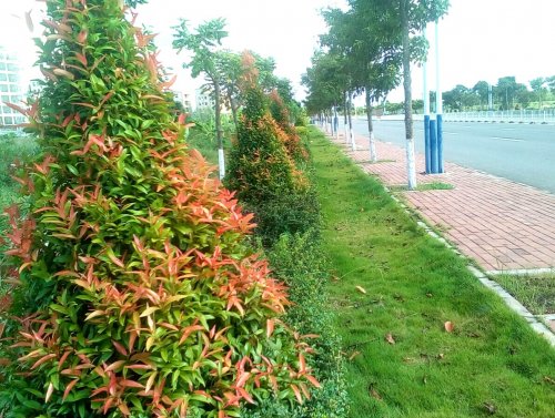 IMG_20170926_113433.jpg
