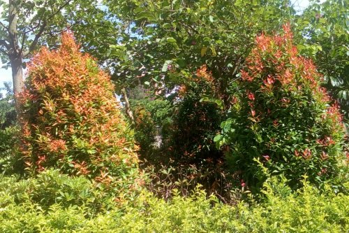 IMG_20170926_113550.jpg