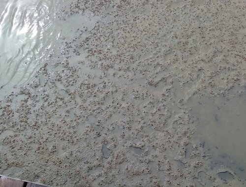 IMG_20170930_141122.jpg