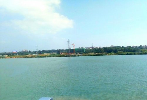 IMG_20171122_122521.jpg