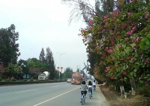 IMG_20100103_004759.jpg
