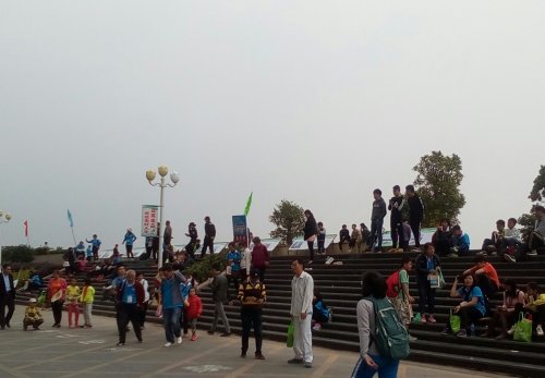 IMG_20100102_204444.jpg