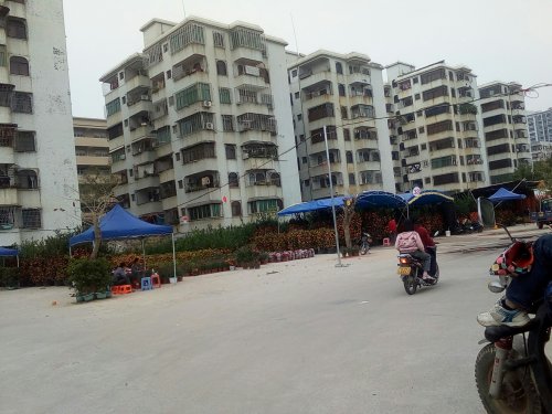 IMG_20100111_105759.jpg