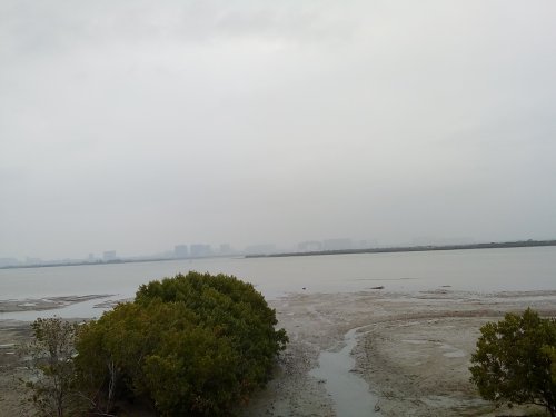 IMG_20100102_045847.jpg