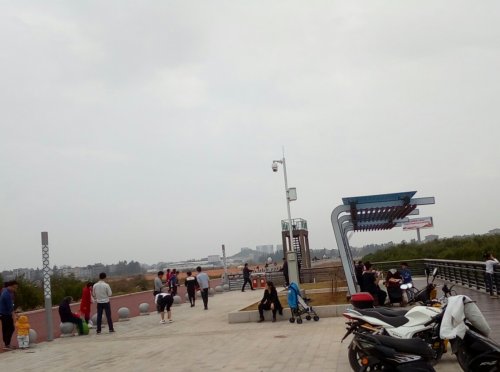 IMG_20100102_145049.jpg
