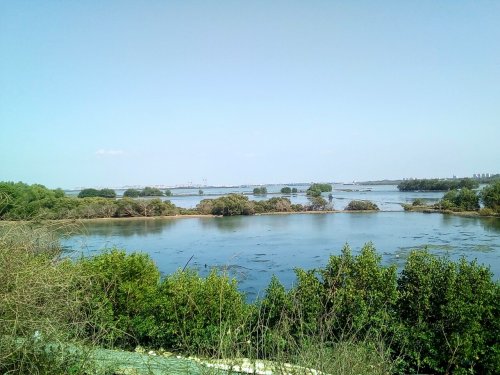 IMG_20100101_104236.jpg