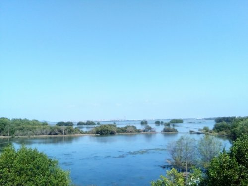 IMG_20100101_104334.jpg