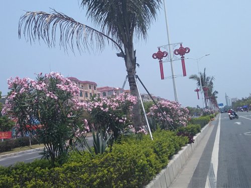 IMG_20180402_125424.jpg
