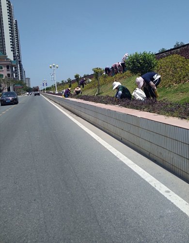 IMG_20180408_142653.jpg