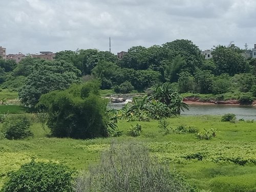 IMG20180516130048.jpg
