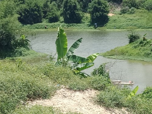 IMG20180516130453.jpg