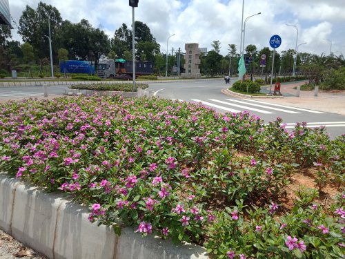 IMG20180517120340.jpg