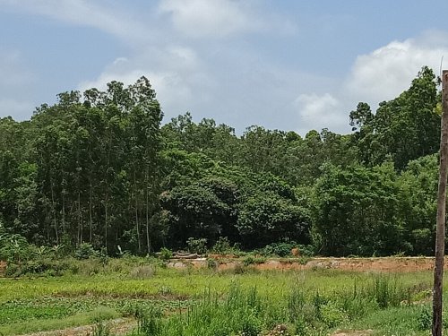 IMG20180517124230.jpg